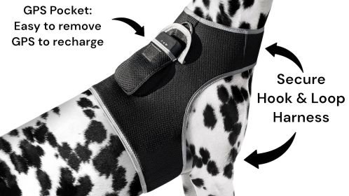 Easy Set Up GPS Dog Collar Tracking Device Waterproof Durable Tracker Size:S
